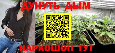 ALPHA PVP Обь