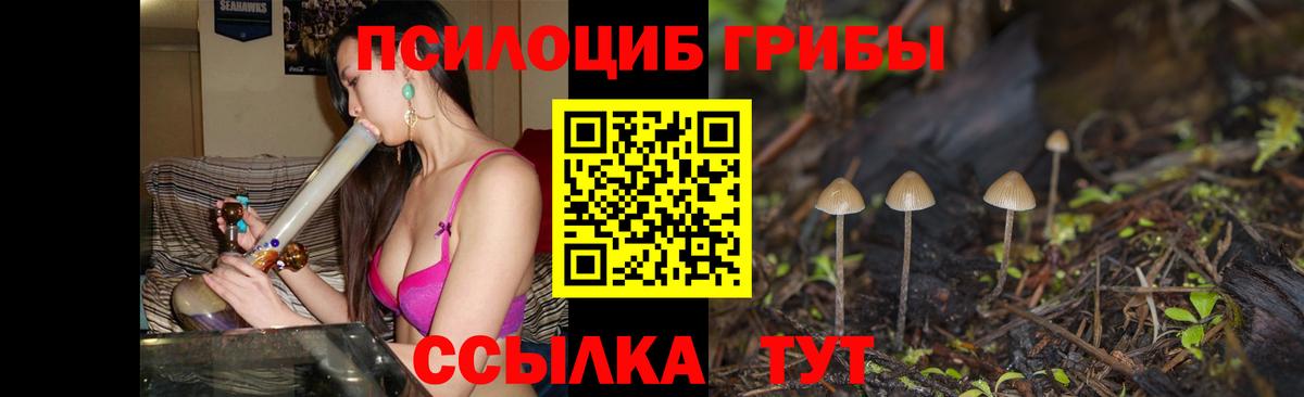 Псилоцибиновые грибы Magic Shrooms  Вход с VPN  Черногорск 